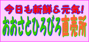 �R�`�s���n��̖k���i�h��O�j�ɂ���_�Y���������̃u���O�փ����N�B